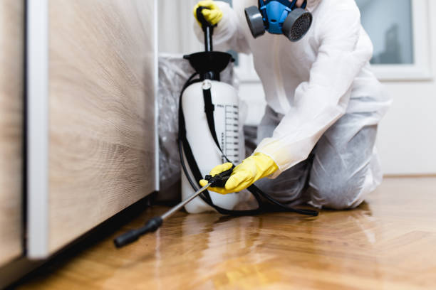 Best Wildlife Control Services  in Black Rock, NM