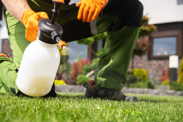 Wildlife Control Services in Black Rock, NM