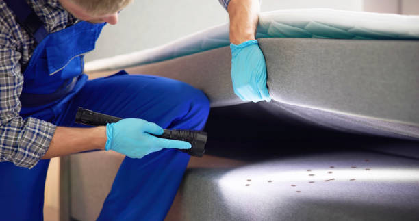 Best Pest Prevention Services  in Black Rock, NM